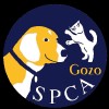 Gozo SPCA