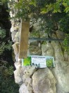 Vandals strike overnight at the Wied Ghollieqa Nature Reserve