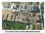 Maghtab-Farms.jpg