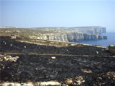Habitat destroyed at trapping sites in the Important Bird Area near to Dwerja