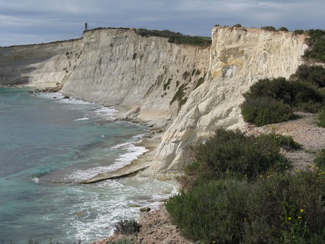 Nature Trust to renew its popular natural history courses