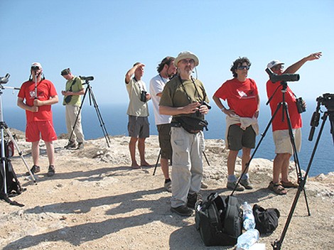 Birdlife demands that police ensure the safety of birdwatchers