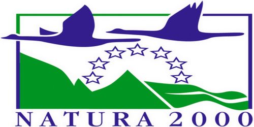 NGOs voice concern over political event to be held at Mistra