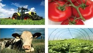 BOV to provide financial assistance to agricultural sector