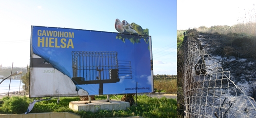 Arsonists attack Ghadira Nature Reserve & Billboard