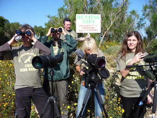 No safe haven for migrant birds in Malta – CABS