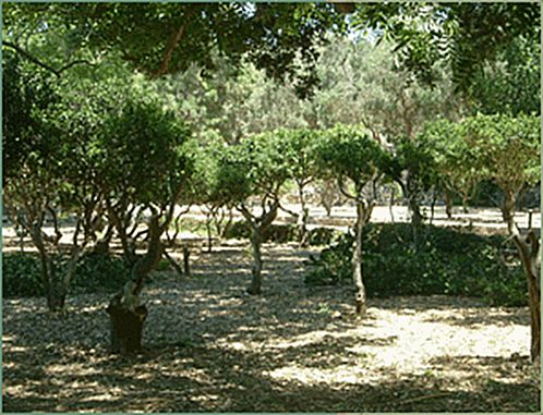 Workers assaulted and threatened at San Blas Workers assaulted and threatened at San Blas