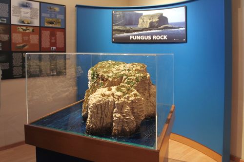 Museums & historical sites see 12% drop in visitors for 2009