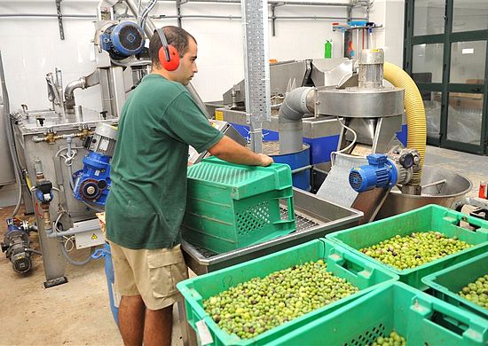 Gozo agricultural sector benefits from European funding