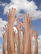 21,920 persons aged 12 and over doing voluntary work in 2008
