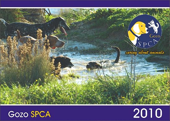 Pet photo’s requested for Gozo SPCA 2011 calender