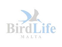 OPM hides behind Ornis to open spring hunting season – Birdlife Malta OPM hides behind Ornis to open spring hunting season – Birdlife Malta