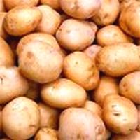 Government urged to hold its ground on GMOs - AD