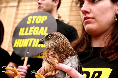 BirdLife delivers 120,000 signatures against illegal hunting