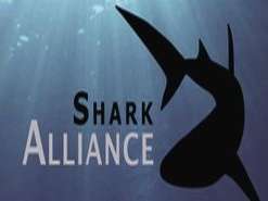 Calls to close the loopholes in EU ban on shark ‘finning’