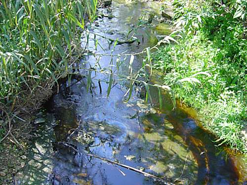 Environmental damage caused by oil spill in Lunzjata valley