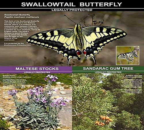 MEPA launches a biodiversity awareness campaign
