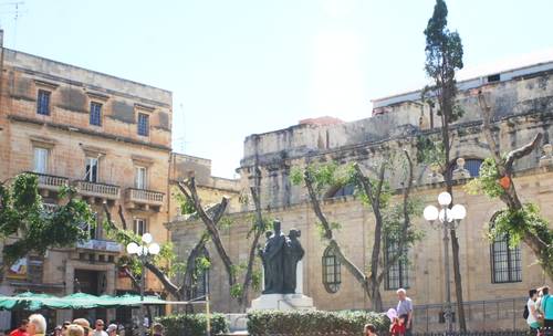 Important Valletta bird roost damaged by heavy pruning Important Valletta bird roost damaged by heavy pruning