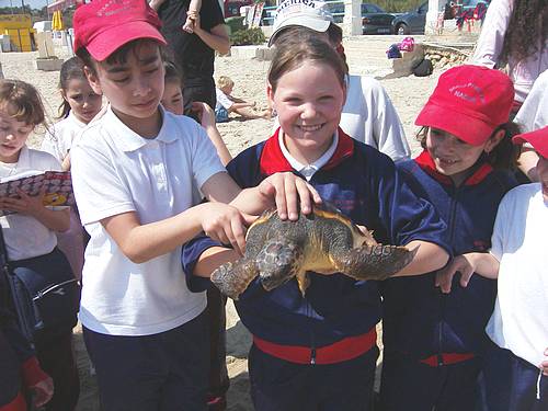 The Nadur Primary School awarded the Green Flag Award