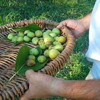 Xaghra Council delegation in Italy for Bari Figs Festival