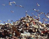 MEPA tightens enforcement on packaging waste regulations