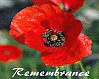 Gozo sub branch of the British Legion Annual Poppy Appeal