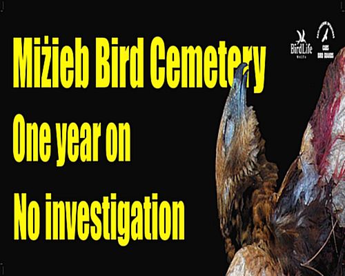Hunters found guilty of threatening CABS volunteer at Mizieb
