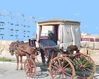 Draft regulations issued for use of animal-drawn vehicles Draft regulations issued for use of animal-drawn vehicles