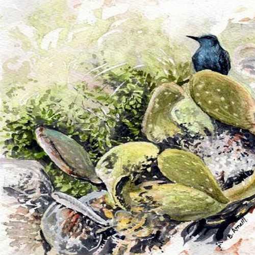 Spring Watch inspired wildlife art book launched today