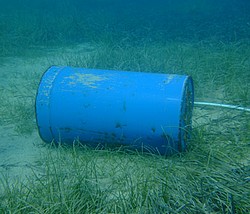 60 minutes diving reults in 60 kilos of debris at Marsalforn