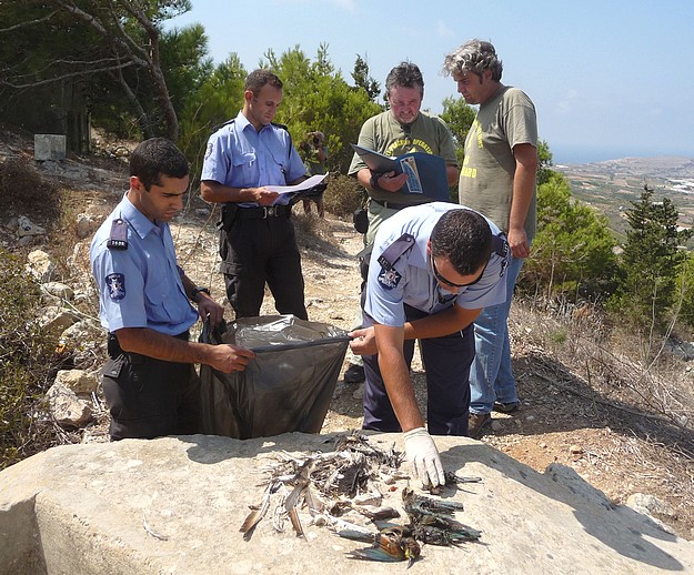 CABS discovers carcasses of protected migrant birds