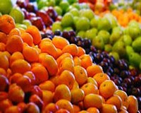 Report on the EU’s Rapid Alert System for Food and Feed
