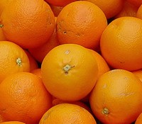 Health Directorate stops sadness from reaching local citrus