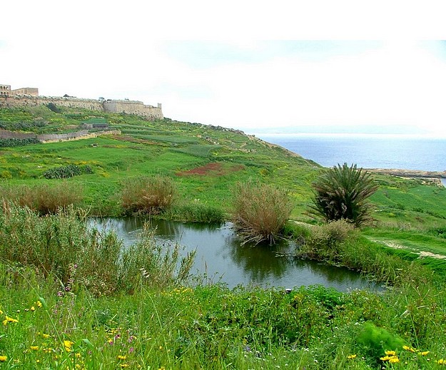 NTM objects to road proposal at Xatt L-Ahmar, Ghajnsielem