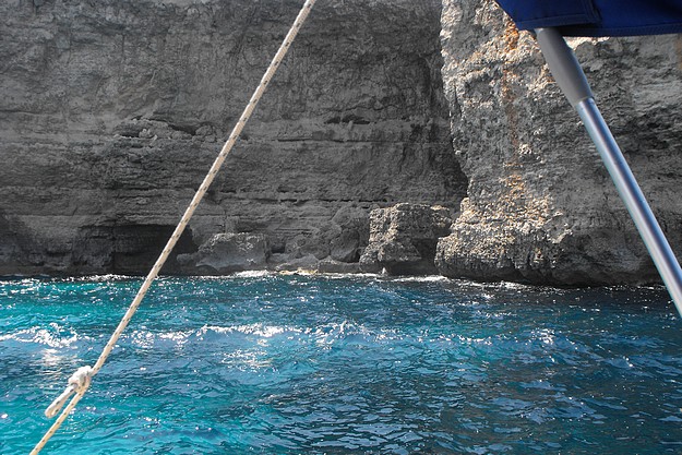 Dolphin carcass found at bottom of Ahrax cliffs in Malta