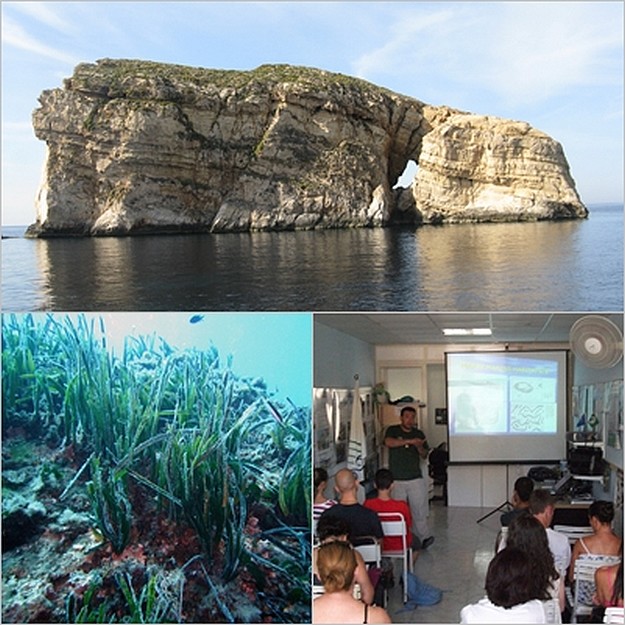 Marine biology course currently underway with Nature Trust Marine biology course currently underway with Nature Trust