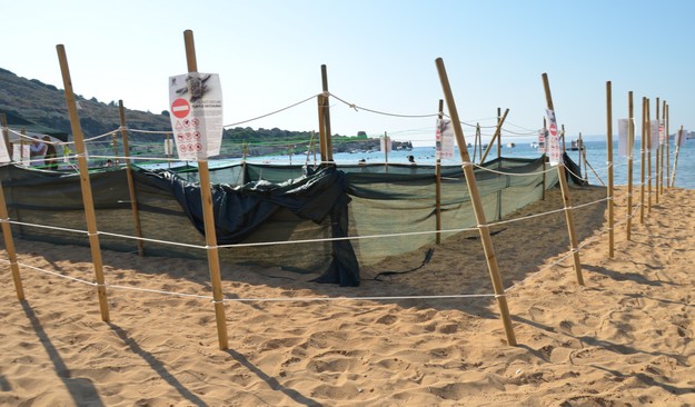 Y4TE visits volunteer stand at the sea turtle nesting site