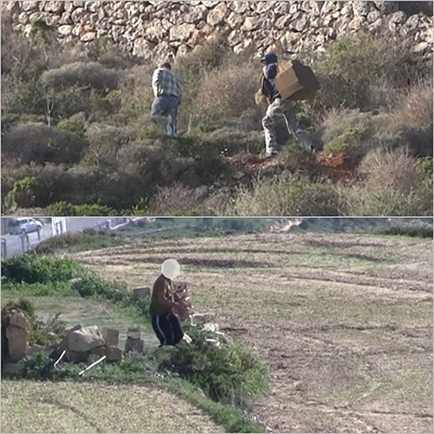 At least 24 illegal trapping sites found in Gozo - Birdlife Malta