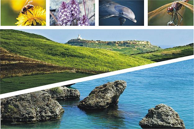 First NBSAP is published – Working hand-in-hand with Nature
