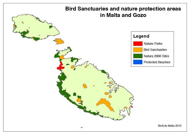 Birdlife Malta calls for hunting ban in nature protection areas