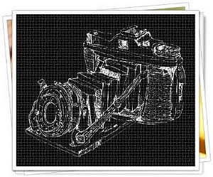 Gozo Photography Association elects its first Committee