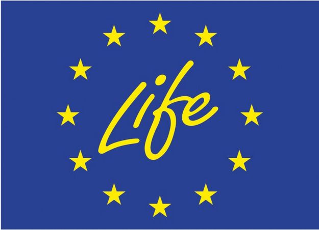 2013 LIFE+ call for Environment proposals to open soon
