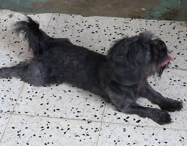 Can somebody offer Timothy the loving home he deserves