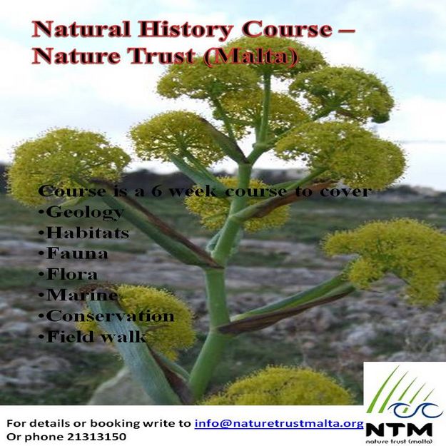 Natural History Course organised by Nature Trust ( Malta) Natural History Course organised by Nature Trust ( Malta)