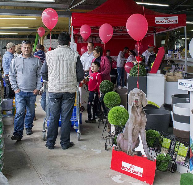 A fun day for pets, owners & families in Malta on Saturday