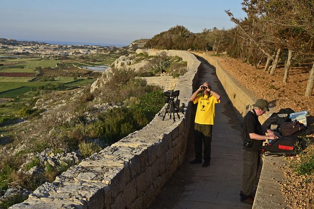895 illegal hunting incidents recorded in Malta alone – BLM