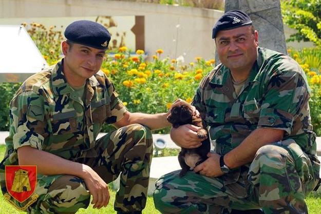 AFM personnel visit rescued puppy at Centru San Frangisk