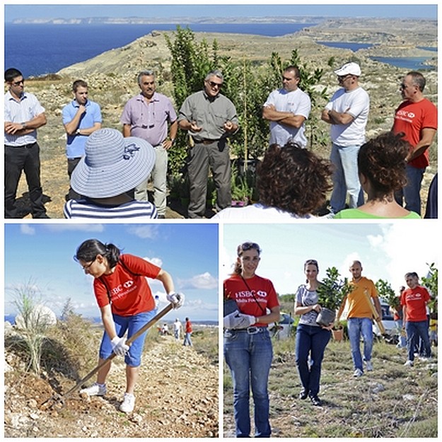 Project to restore maquis habitats at tal-Kuncizzjoni area