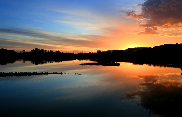 Is-Simar Festival celebrates winter public opening of Nature Reserves
