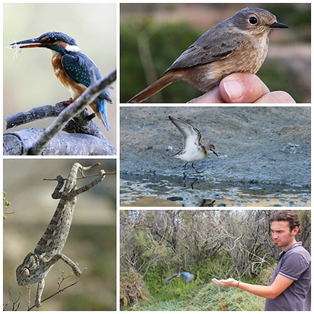 Is-Simar Festival celebrates winter public opening of Nature Reserves